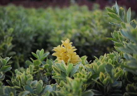 [OneBox Hotel Cloud Platform] warmly invites you to the exciting end of 2024 Shanghai International Hotel Exhibition!